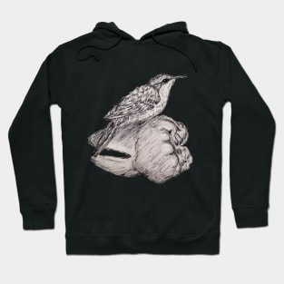 Brown Creeper on Tooth Hoodie